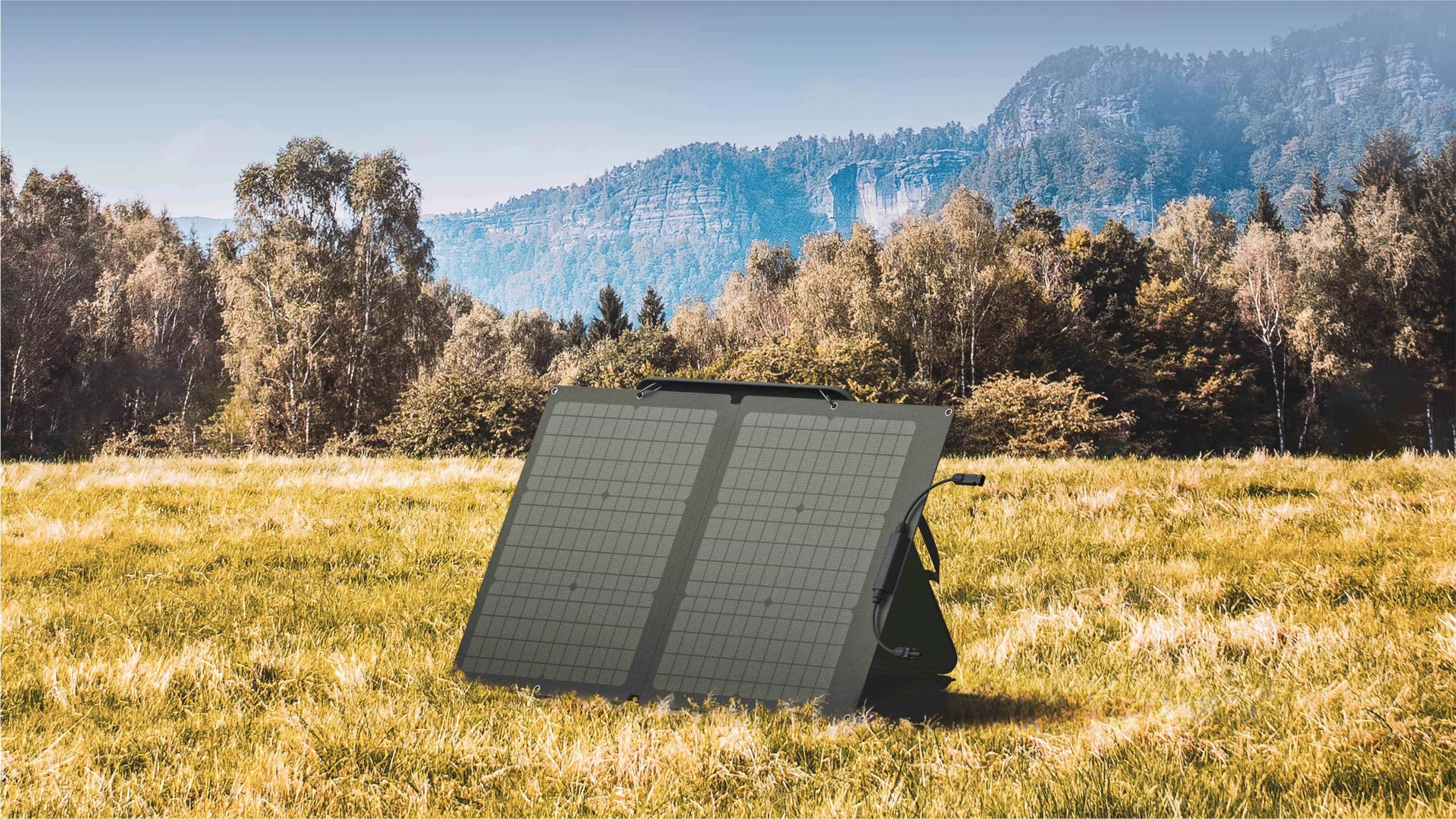 EcoFlow Solar Panlel 60W